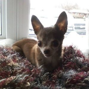 Meet your Posher, Cindy